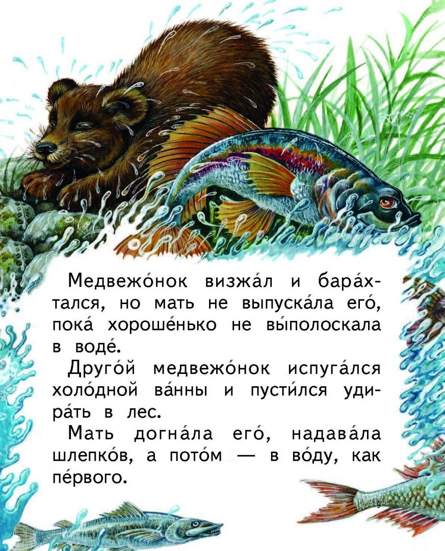 Мнемотехника купание медвежат Бианки