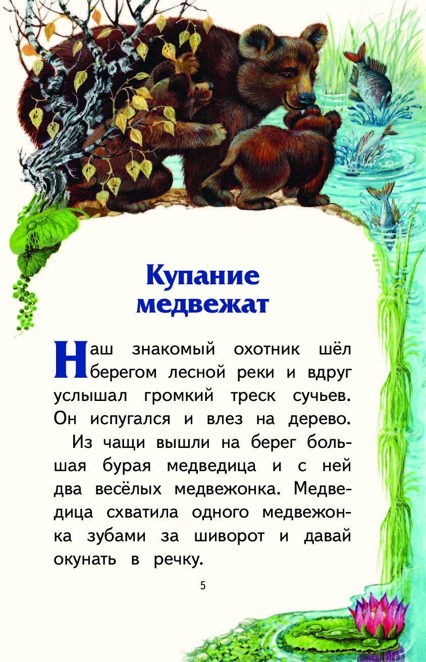 Купание медвежат бианки картинки