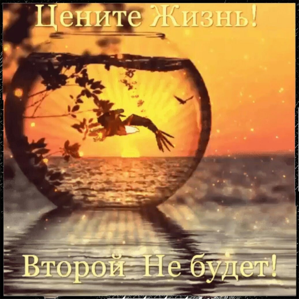 Пусть жизнь почаще радует тебя любовь и счастье душу наполняют