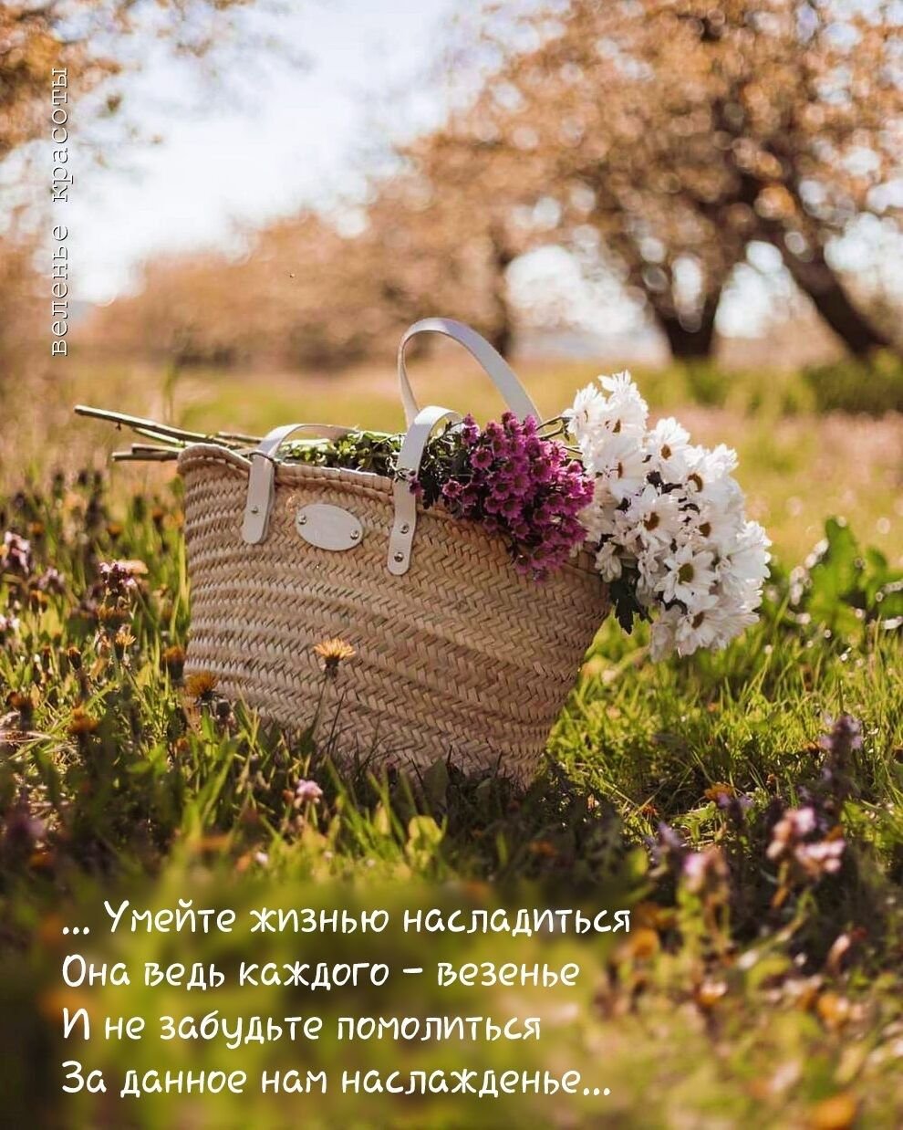 Циля Вайнер цените каждое мгновенье