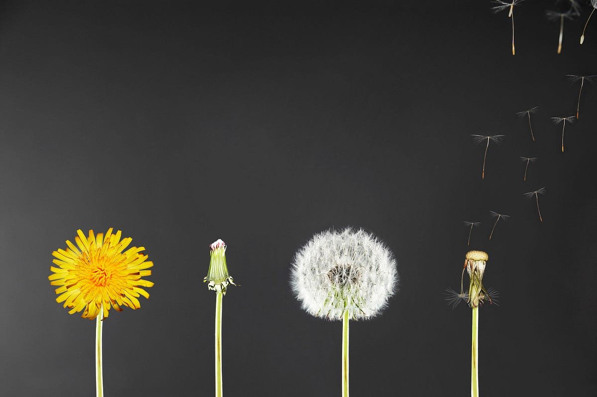 Законов кармы, которые изменят Вашу жизнь