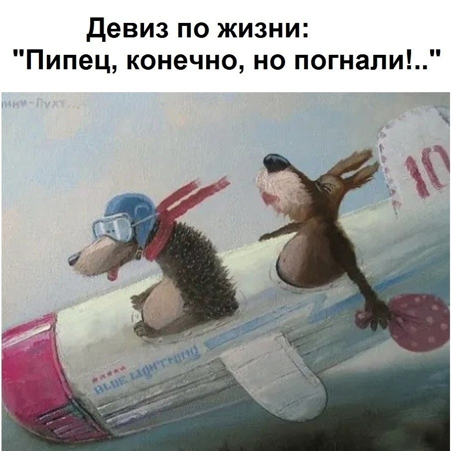 Девиз по жизни пипец конечно но погнали