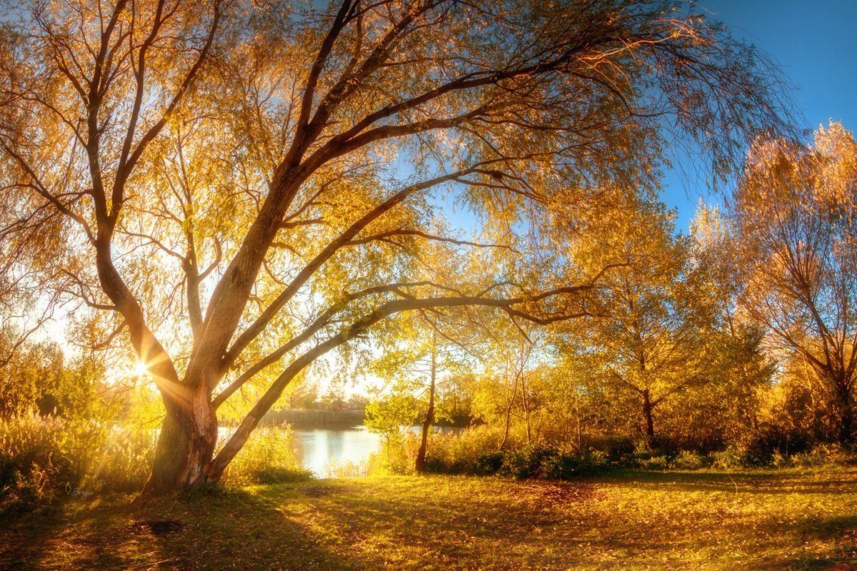 Солнечная осень