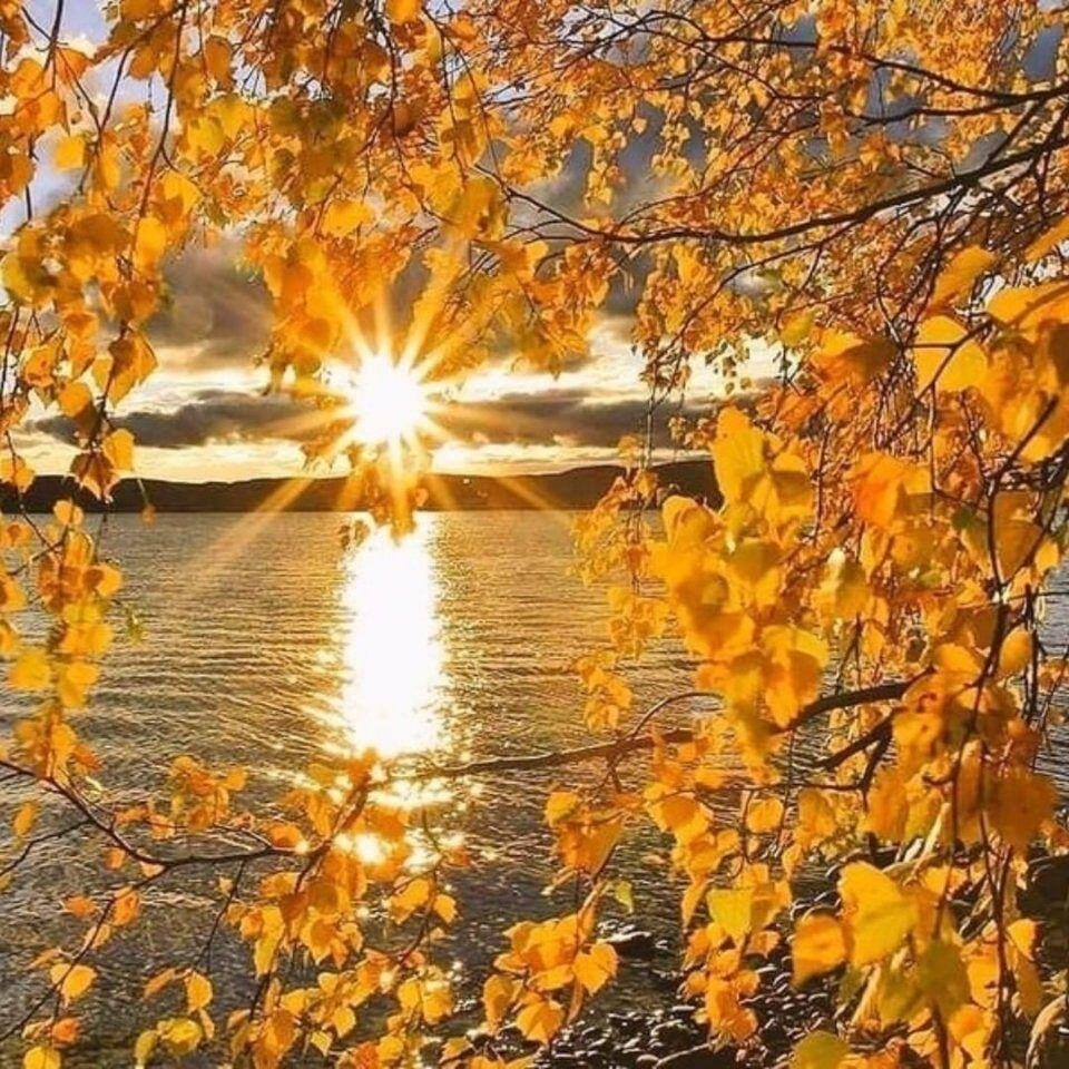 Осеннее утро