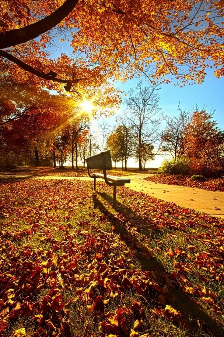 Природа осенью