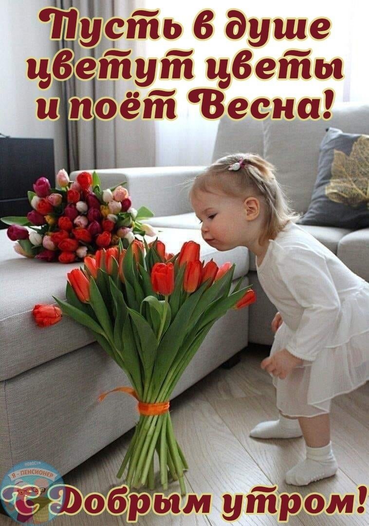 Доброе утро будьте здоровы