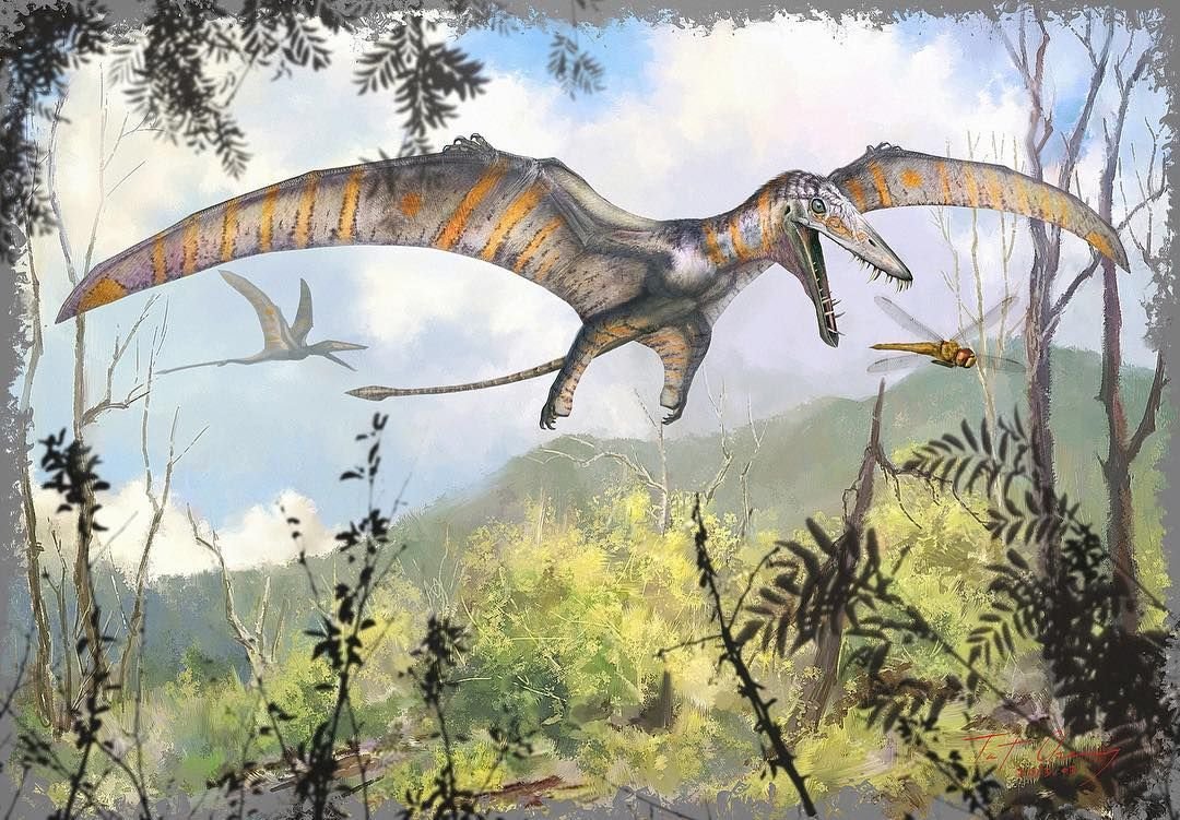 Доригнатус динозавр