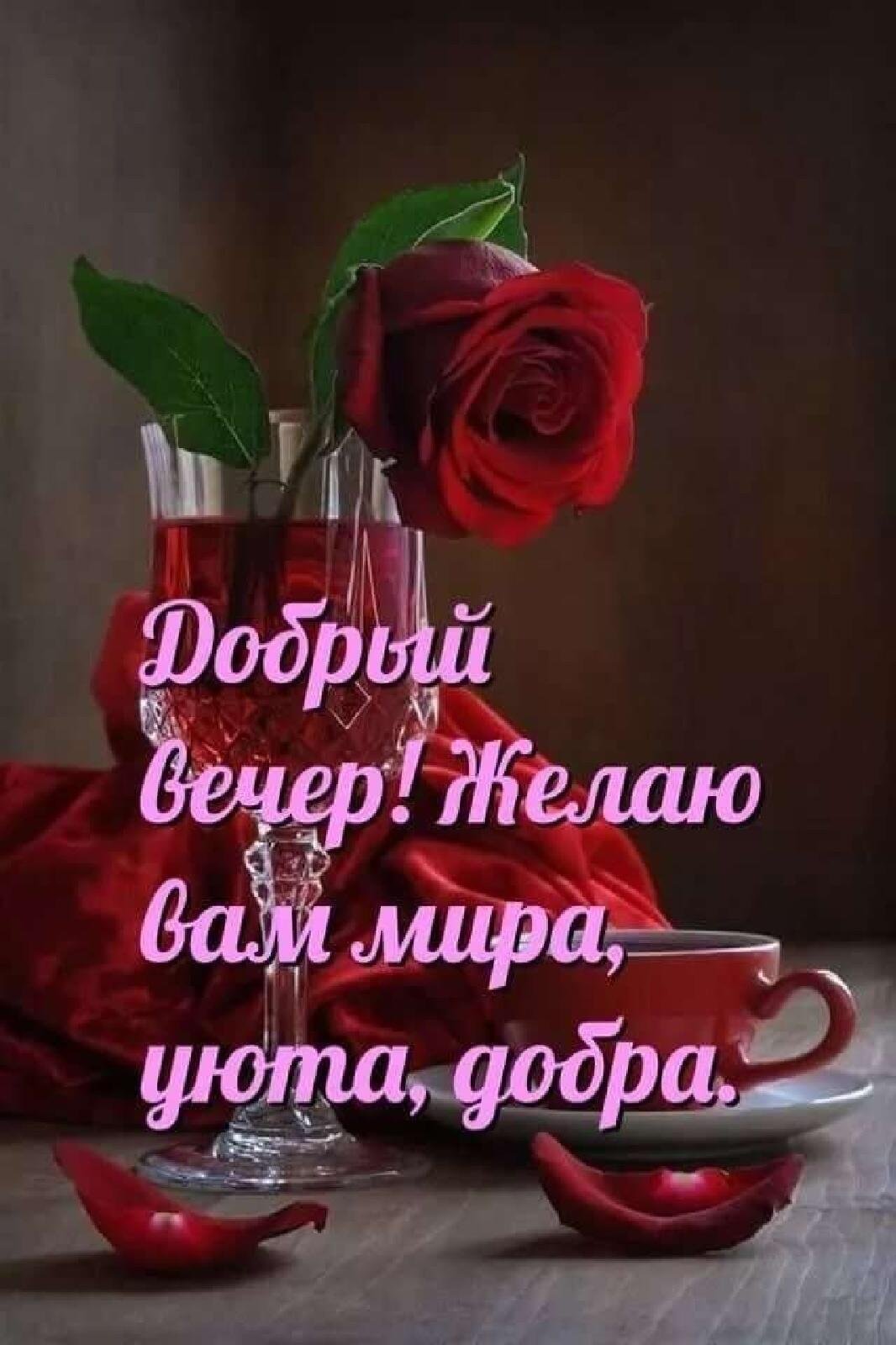 Доброго уютного вечера