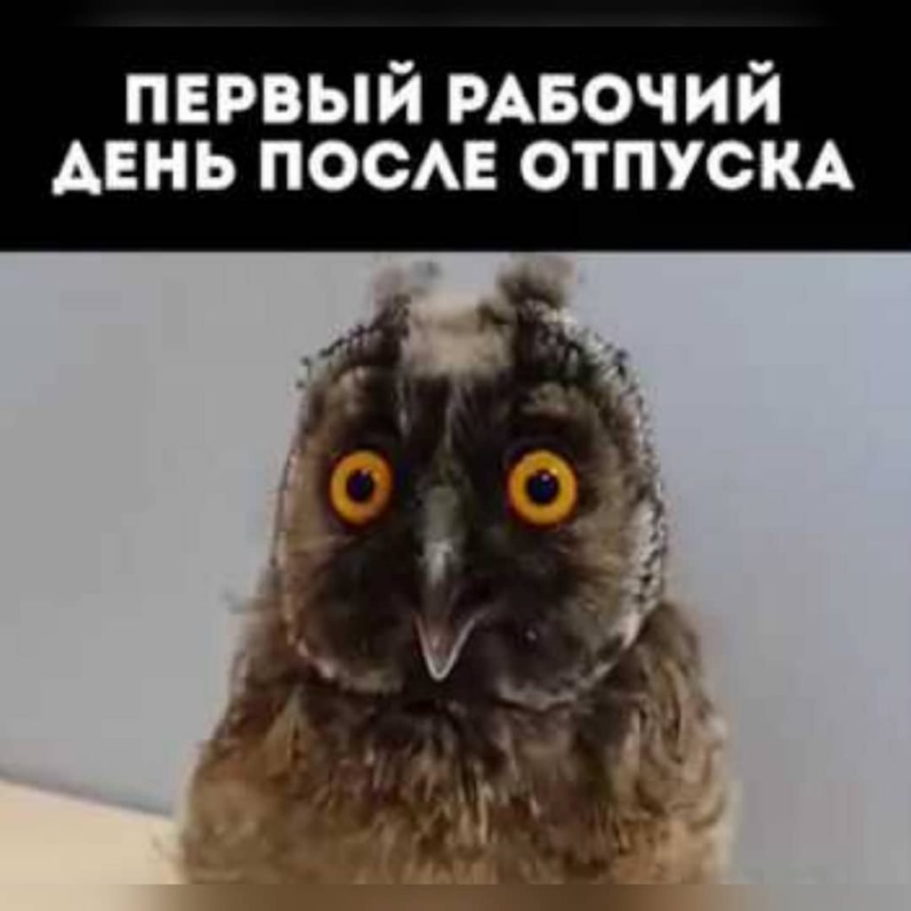 Цитаты про отдых на море