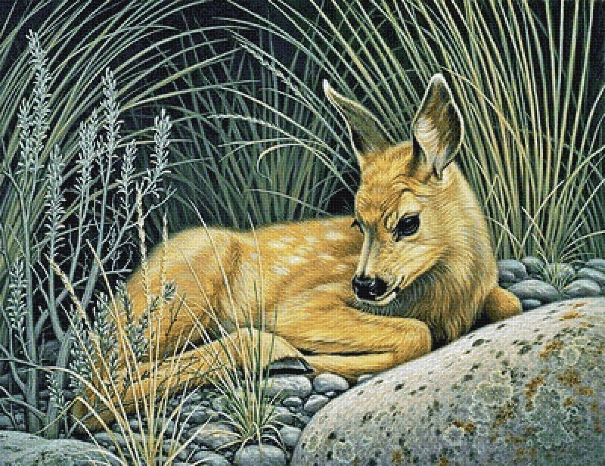 Художник Paul Krapf.