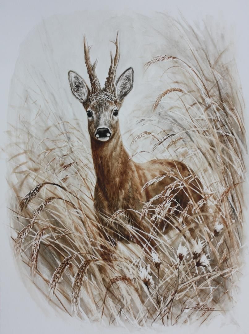 Художники анималисты