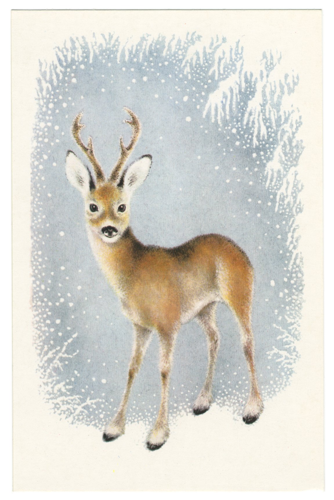 Зимний олень рисунок