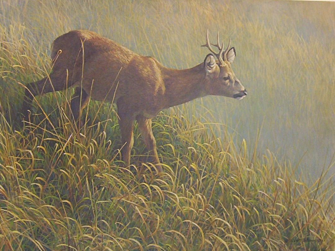 Картины Роберт Бейтман анимализм