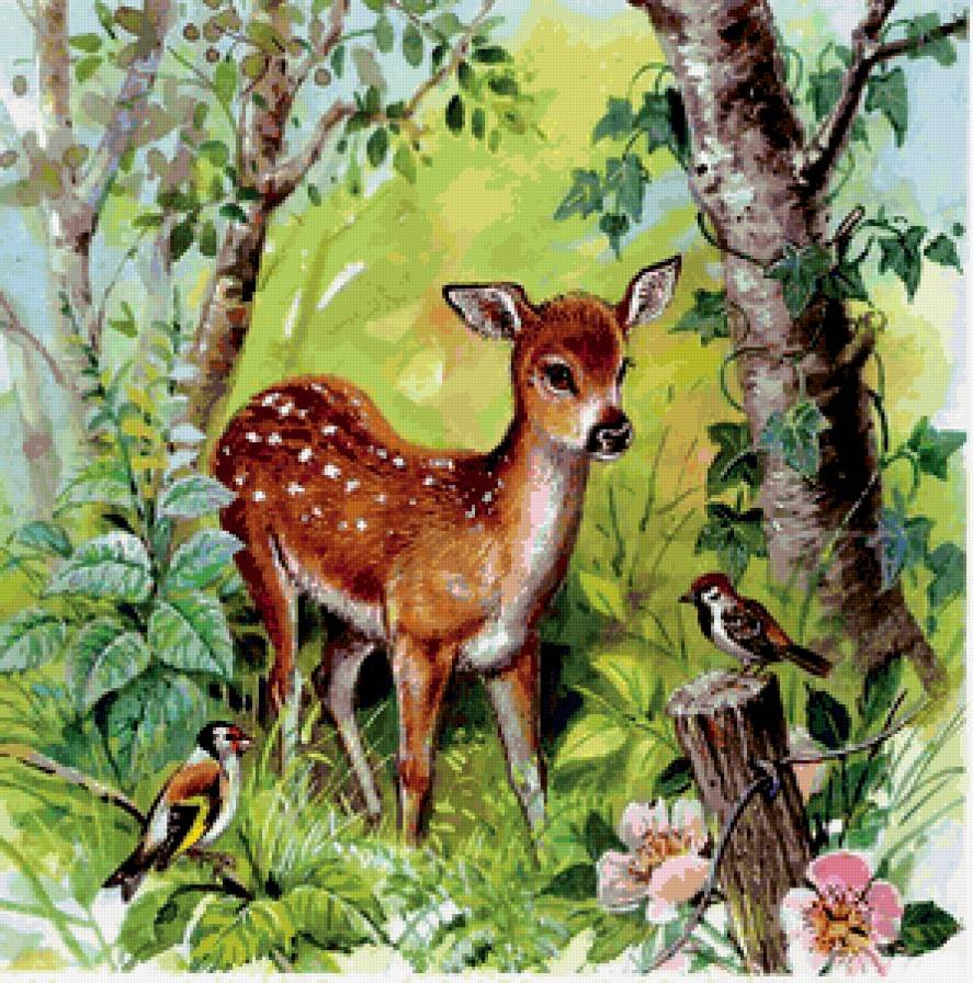 Европейская косуля кавказский заповедник