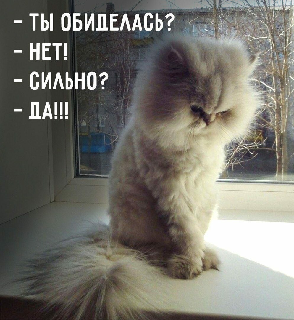 Никогда не бываю одна