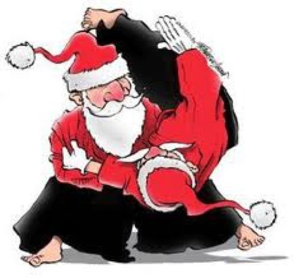 Дед Мороз айкидо