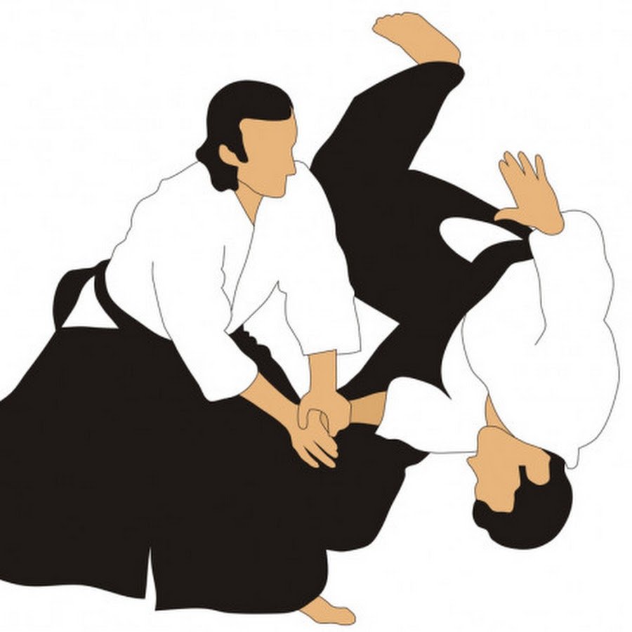 Айкидо вектор