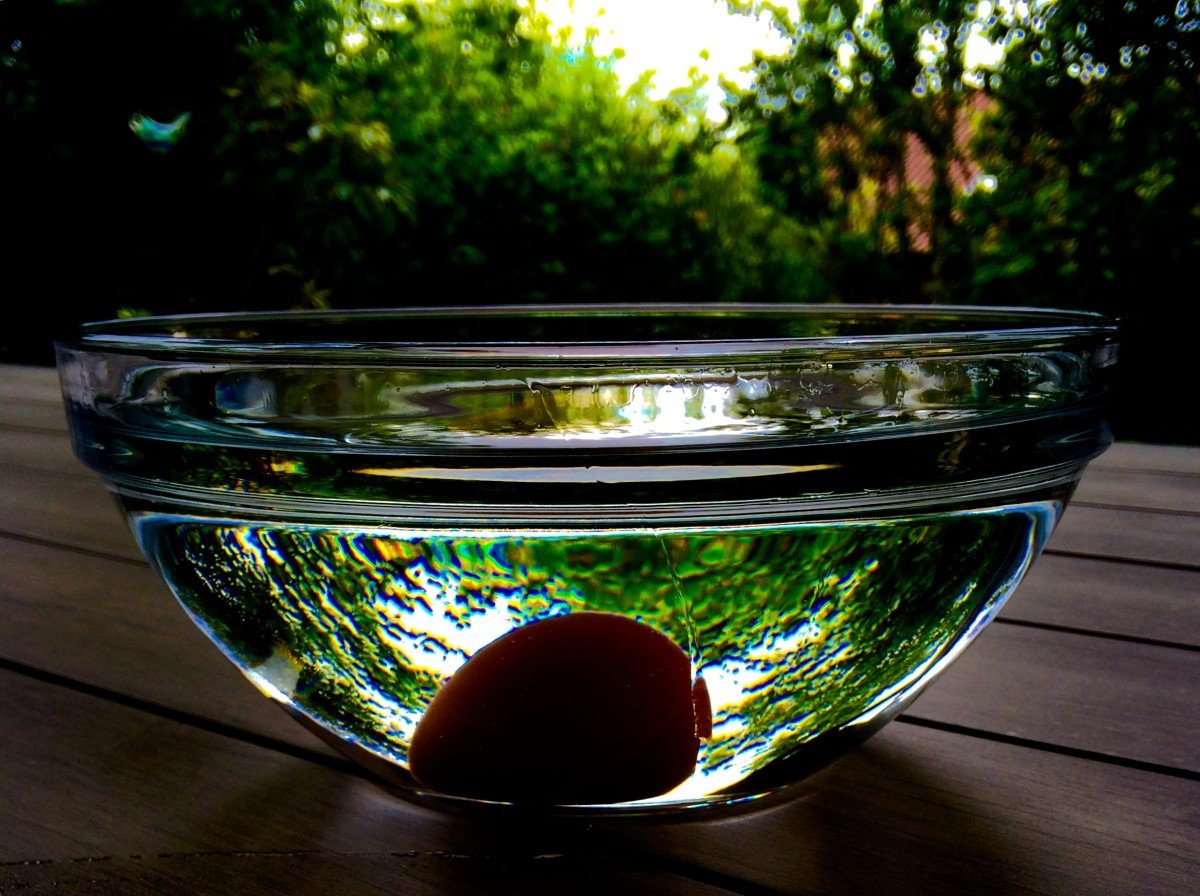 Стеклянная чаша с водой