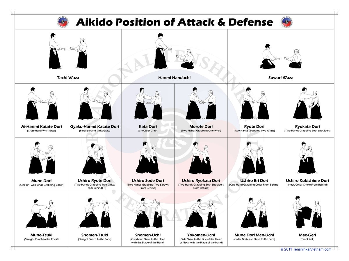 Айкидо название приёмов