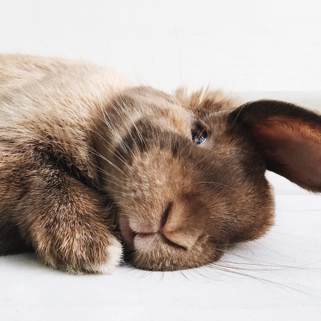 Спокойной ночи Наташа