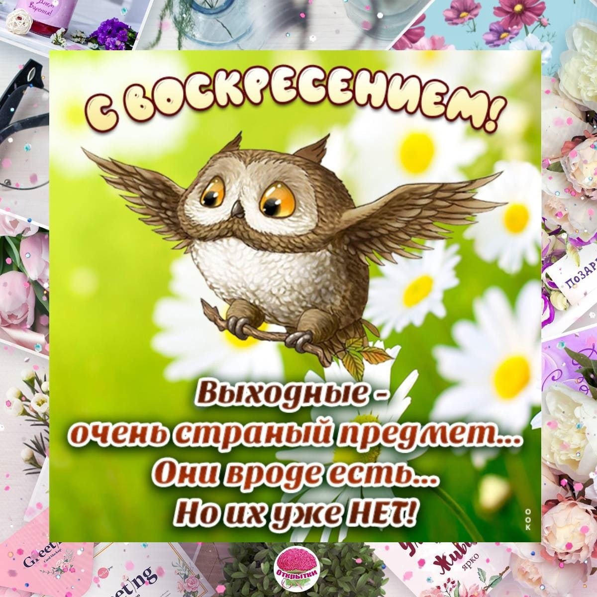 Прикольные поздравления с воскресеньем