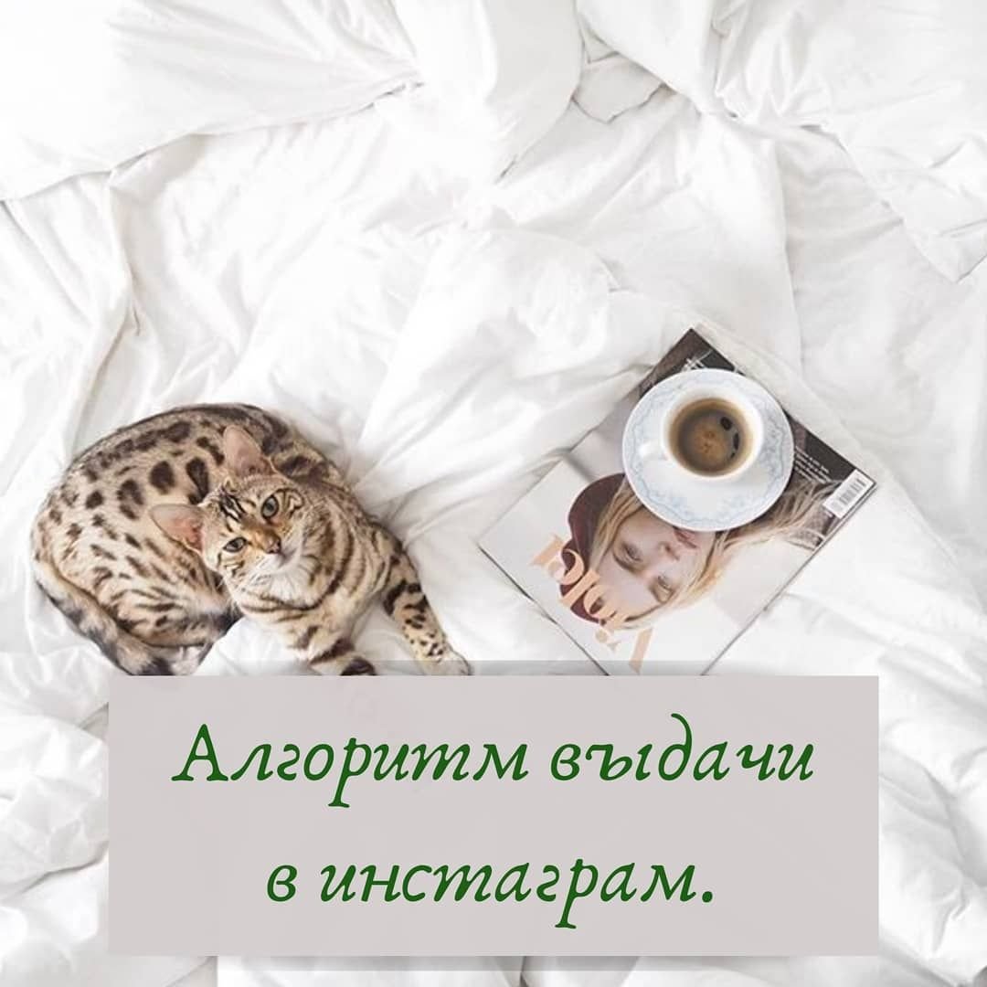 Воскресенье это круто доброе утро