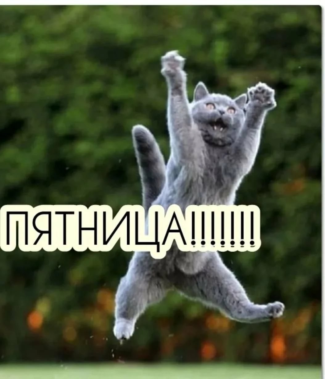 С пятницей прикольные