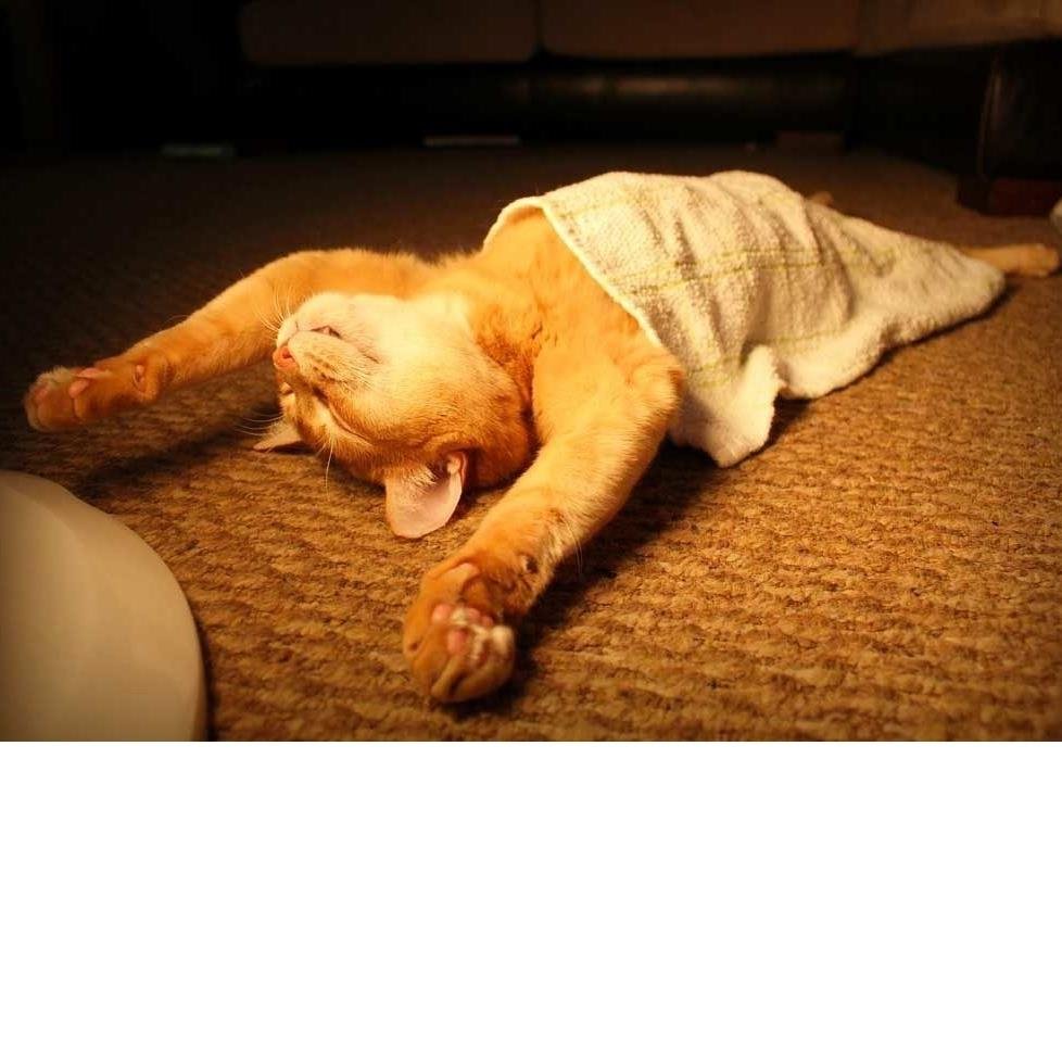 Утро воскресенья