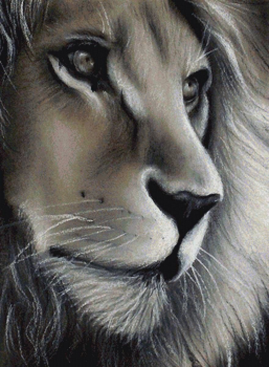 Красивые рисунки