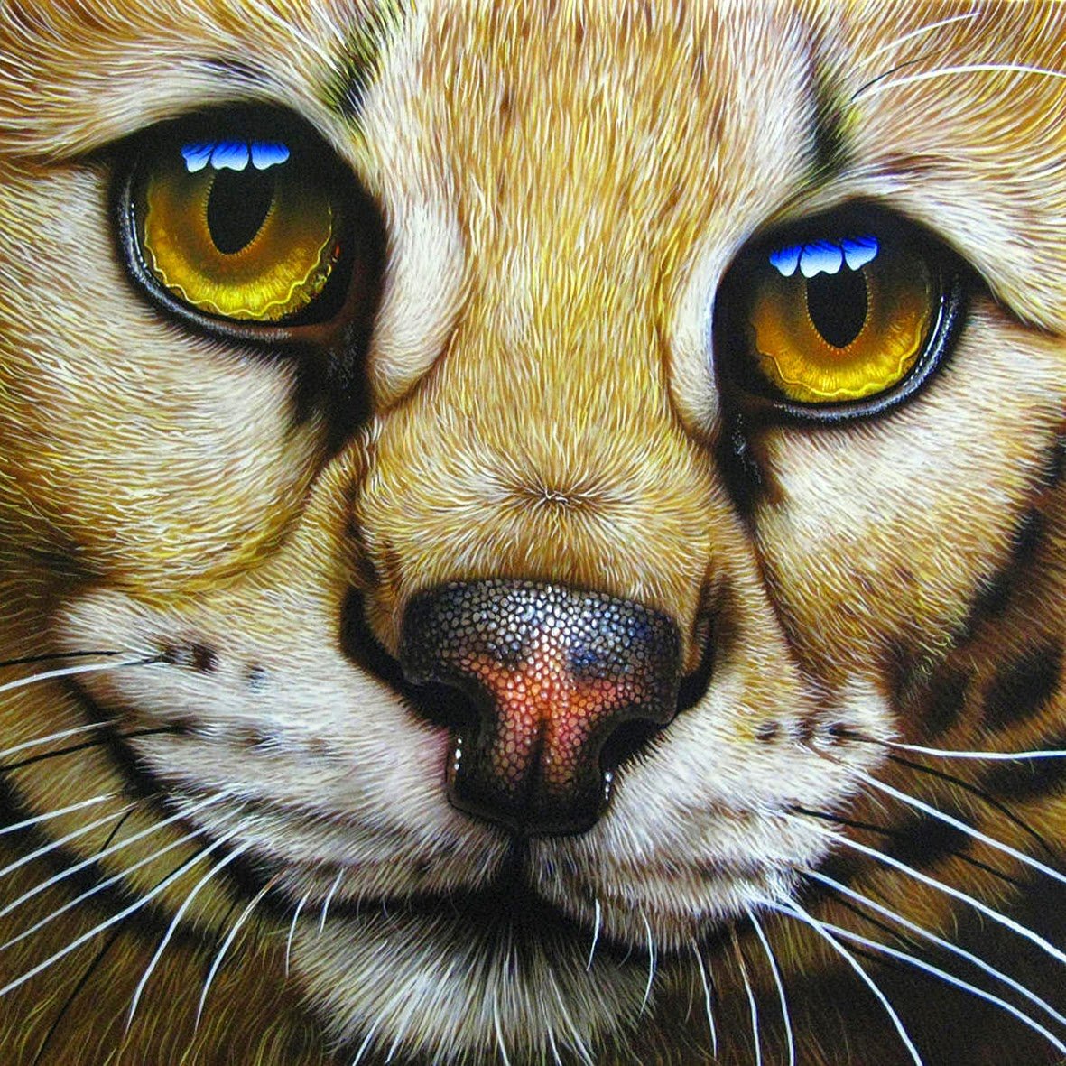 Jurek Zamoyski художник