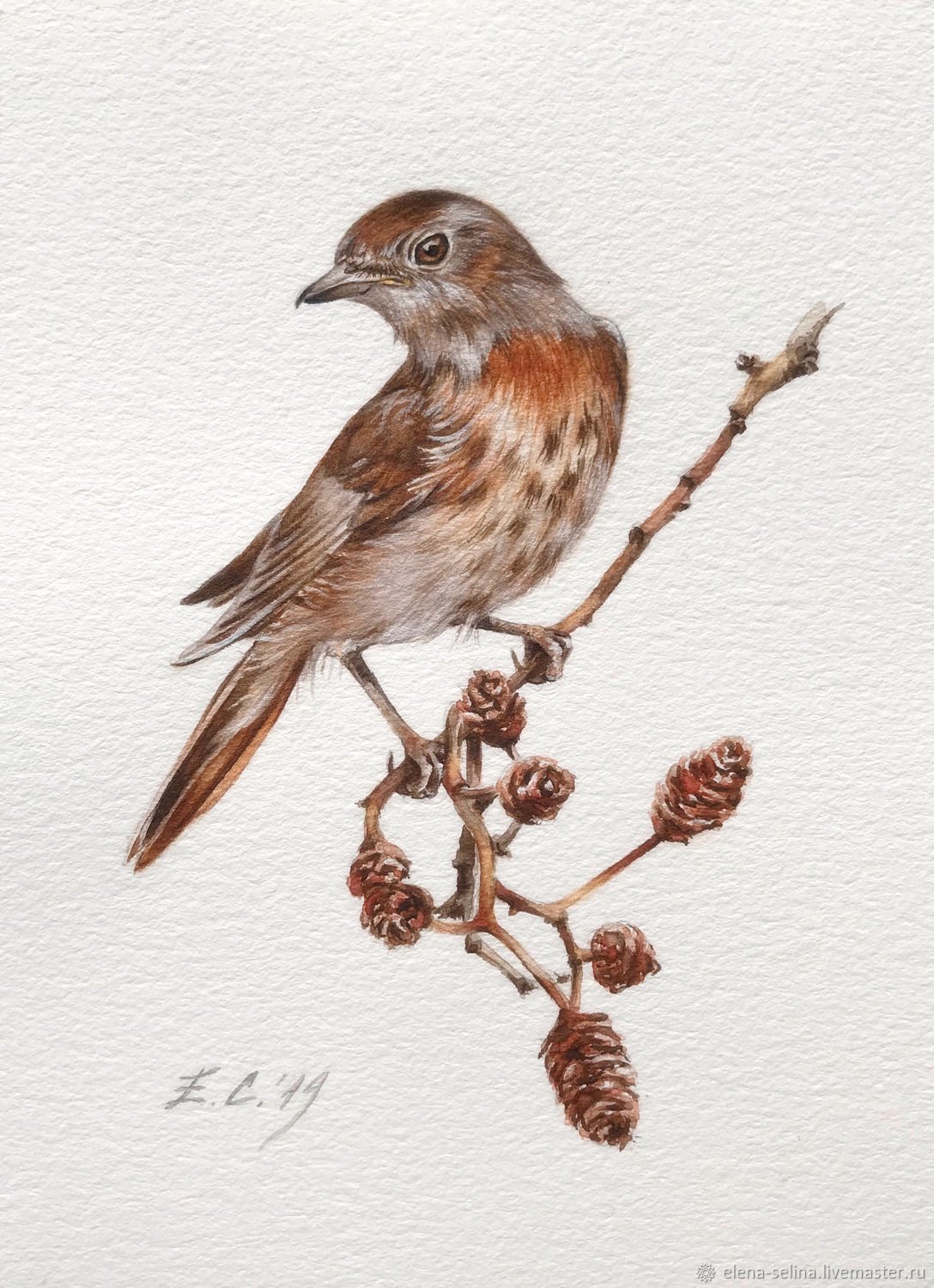 Соловей картина