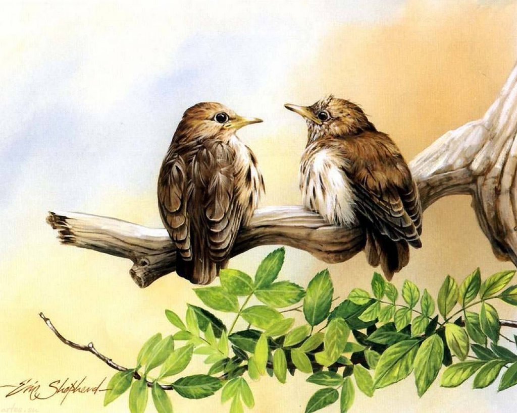 Птица иллюстрация