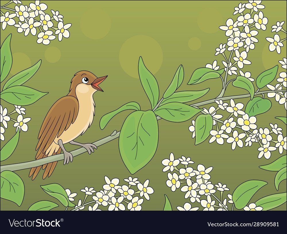 Поющий Соловей вектор