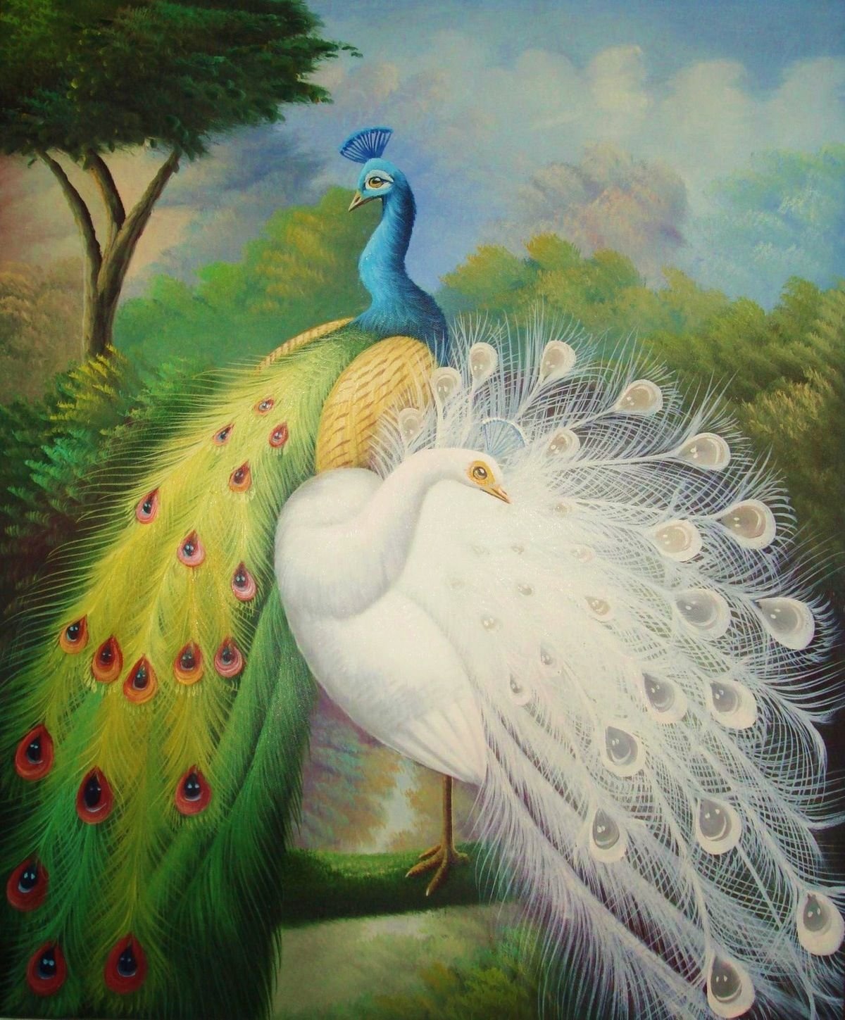 Влюбленные Павлины