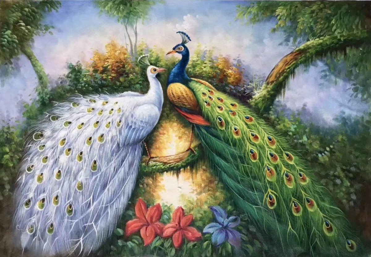 Вриндаван Павлины