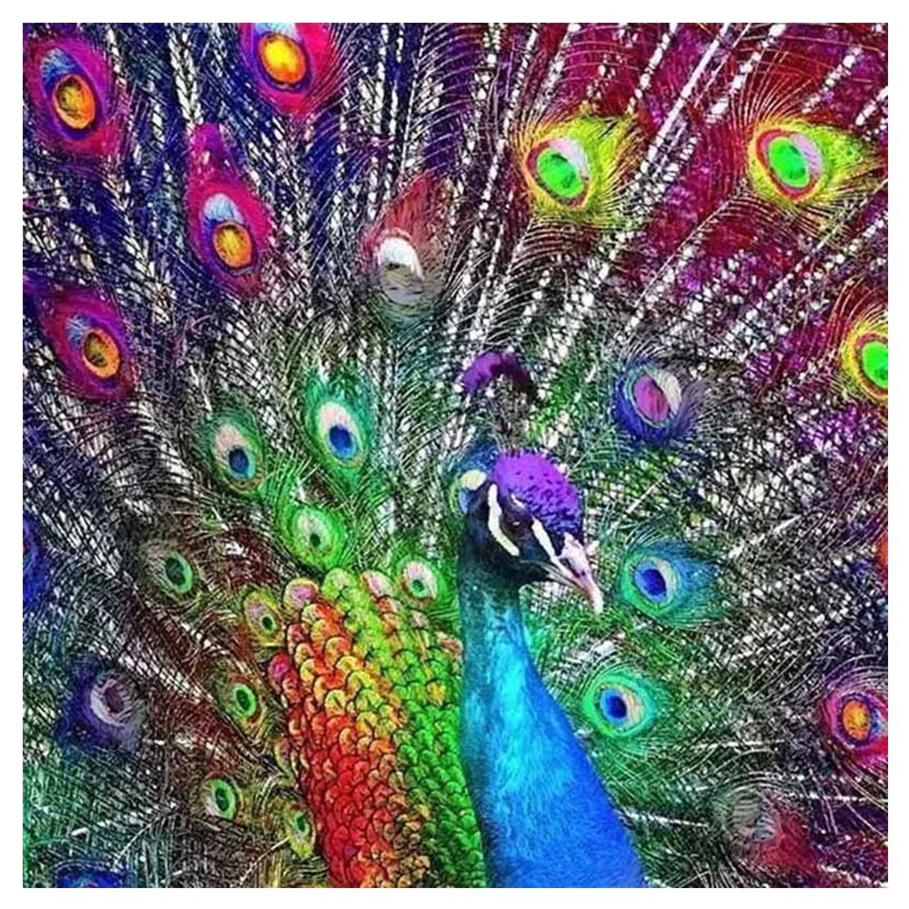 Яркие Павлины