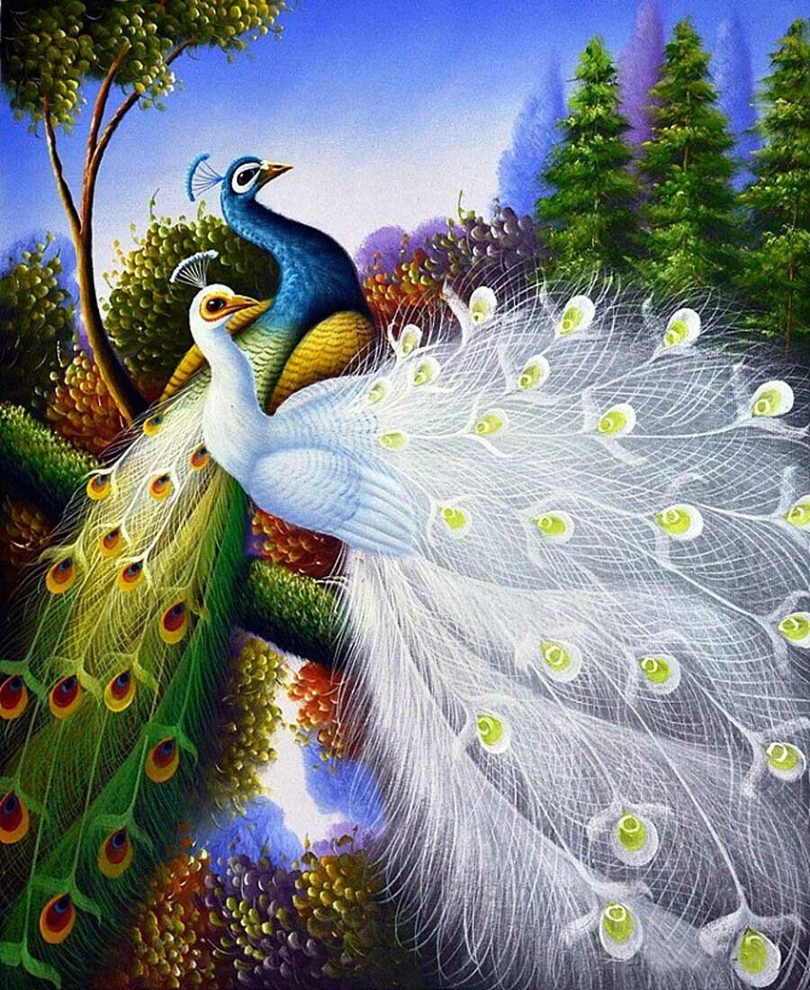 Сказочный Павлин