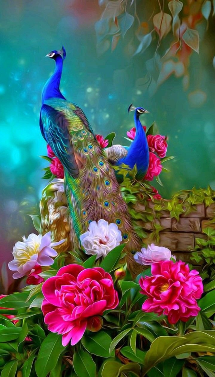 Павлина с днем рождения