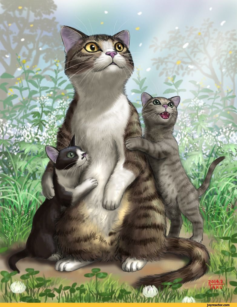 Семья котов