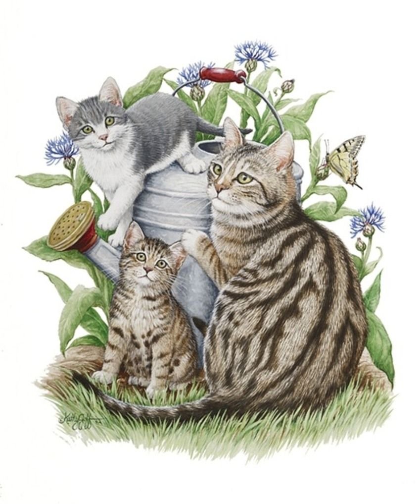 Котята с мамой