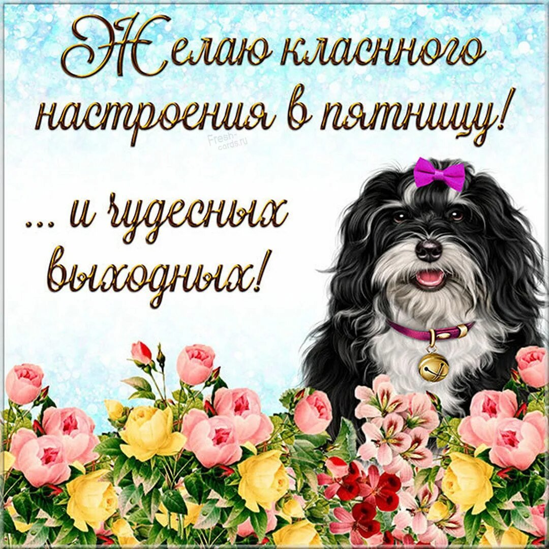 Поздравление с пятницей