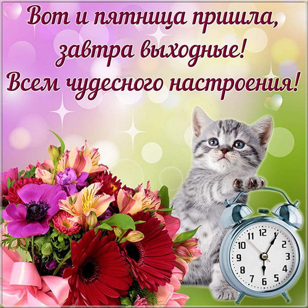 Открытки с пятницей