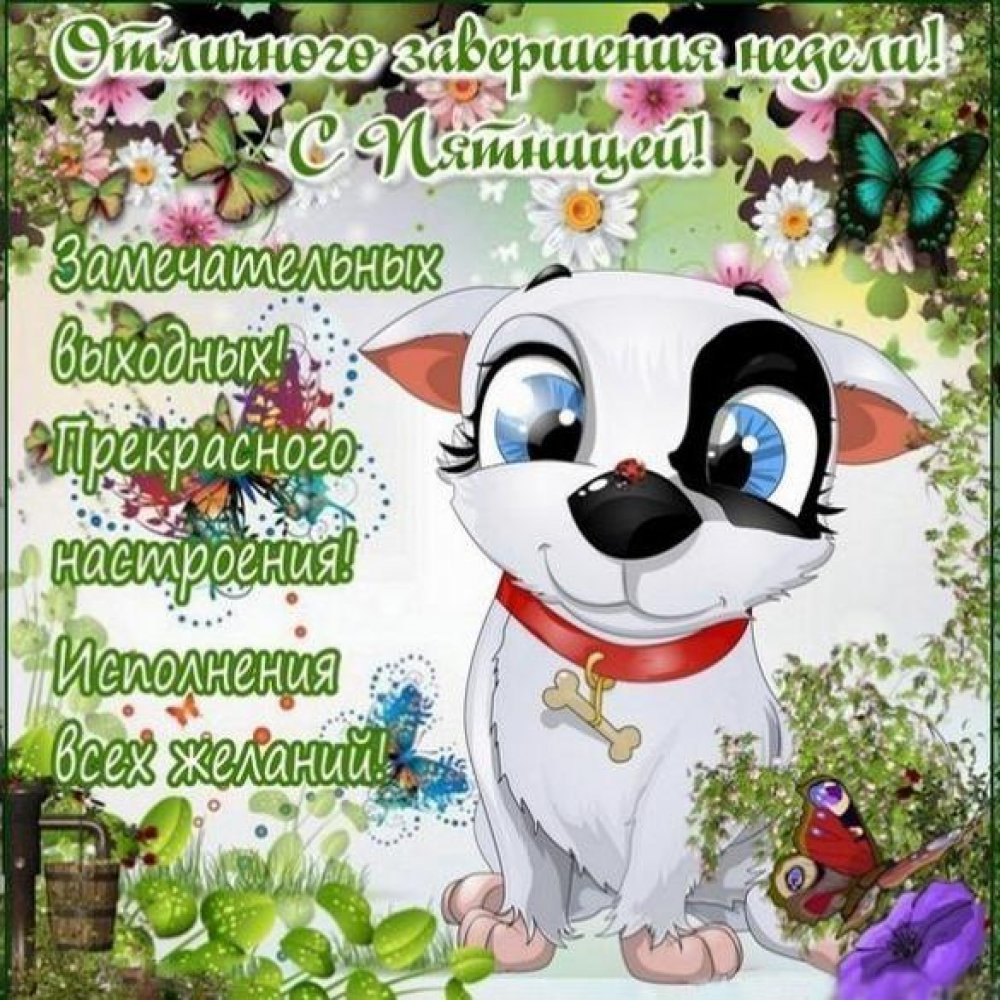 Открытки с пятницей прикольные