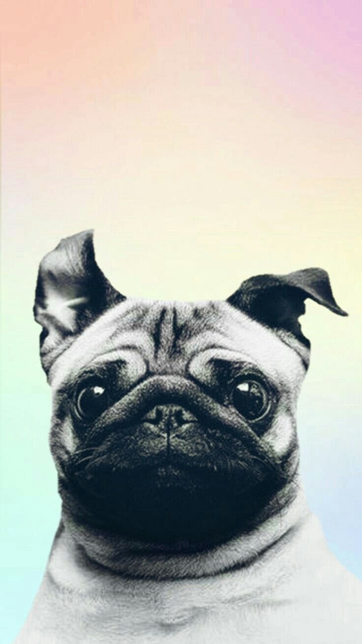 Маноменов Сергей Нижний Тагил