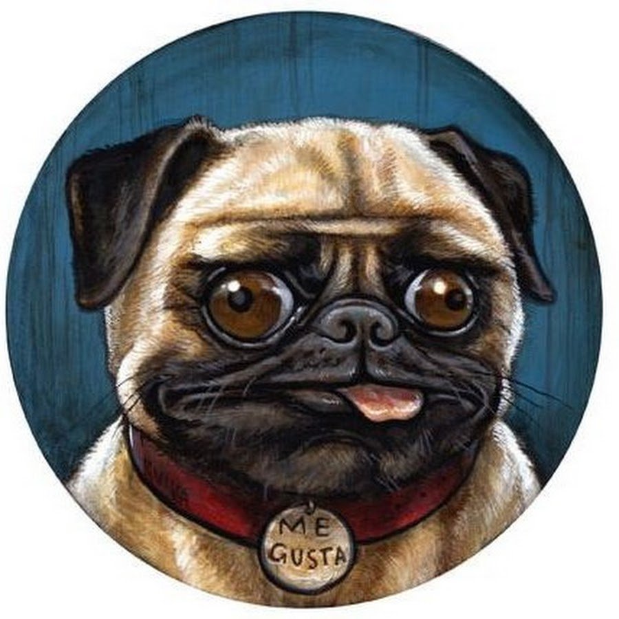 Мопс на аву