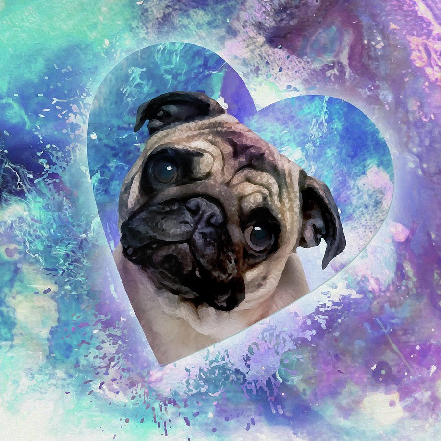 Мопс коллаж