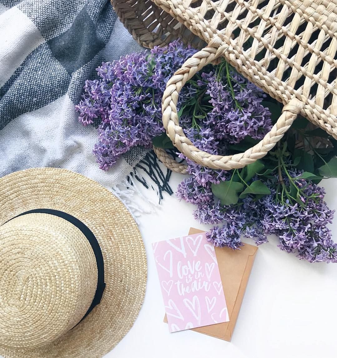 Лавандовый цвет для Инстаграм