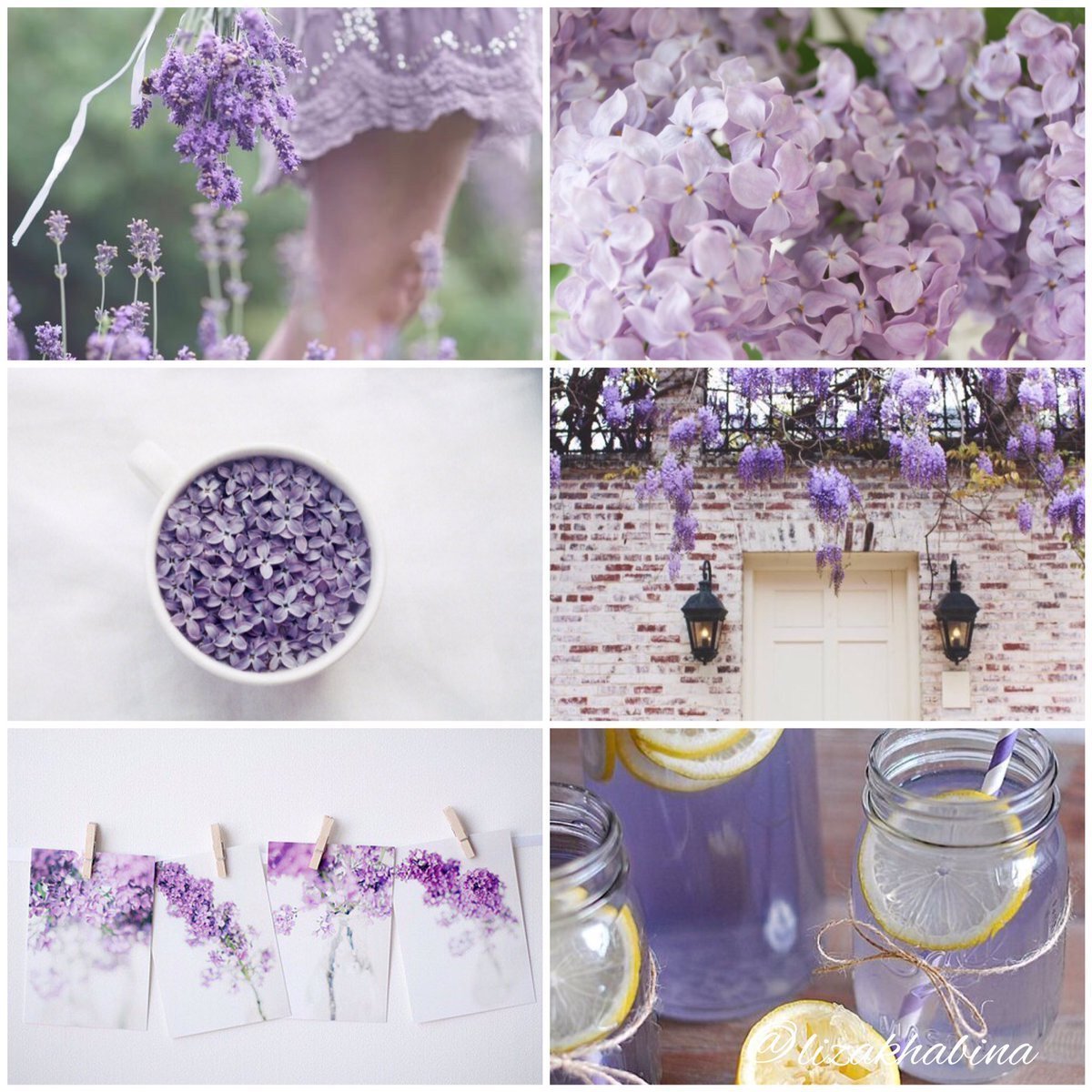 Предметы лавандового цвета