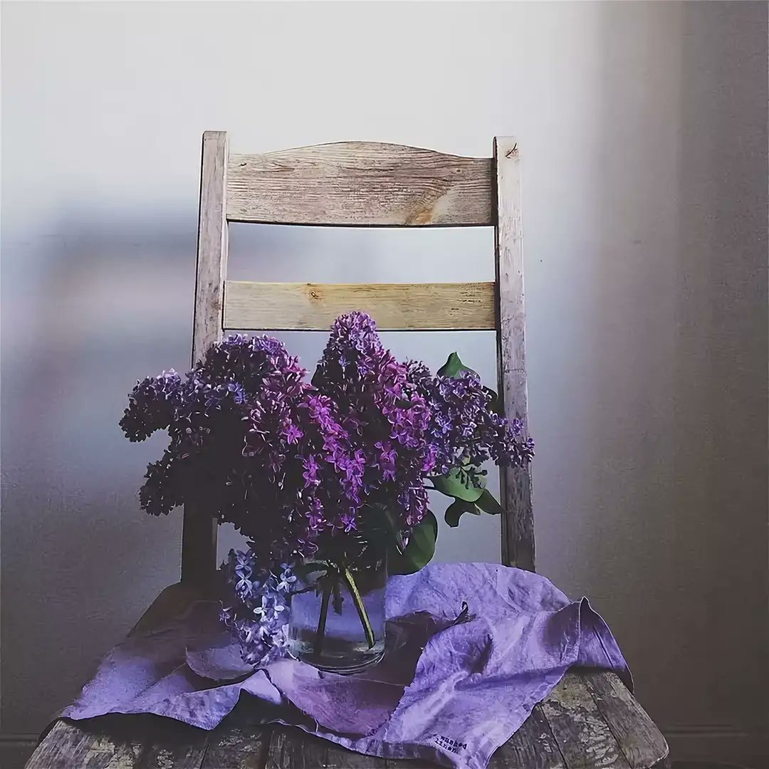 Эстетика лавандового цвета