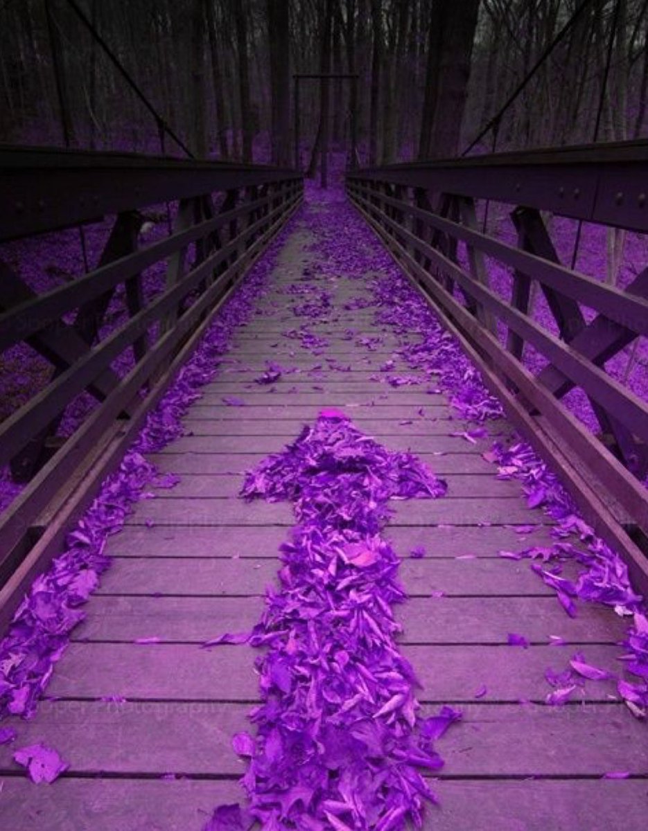 Эстетика в сиреневых тонах